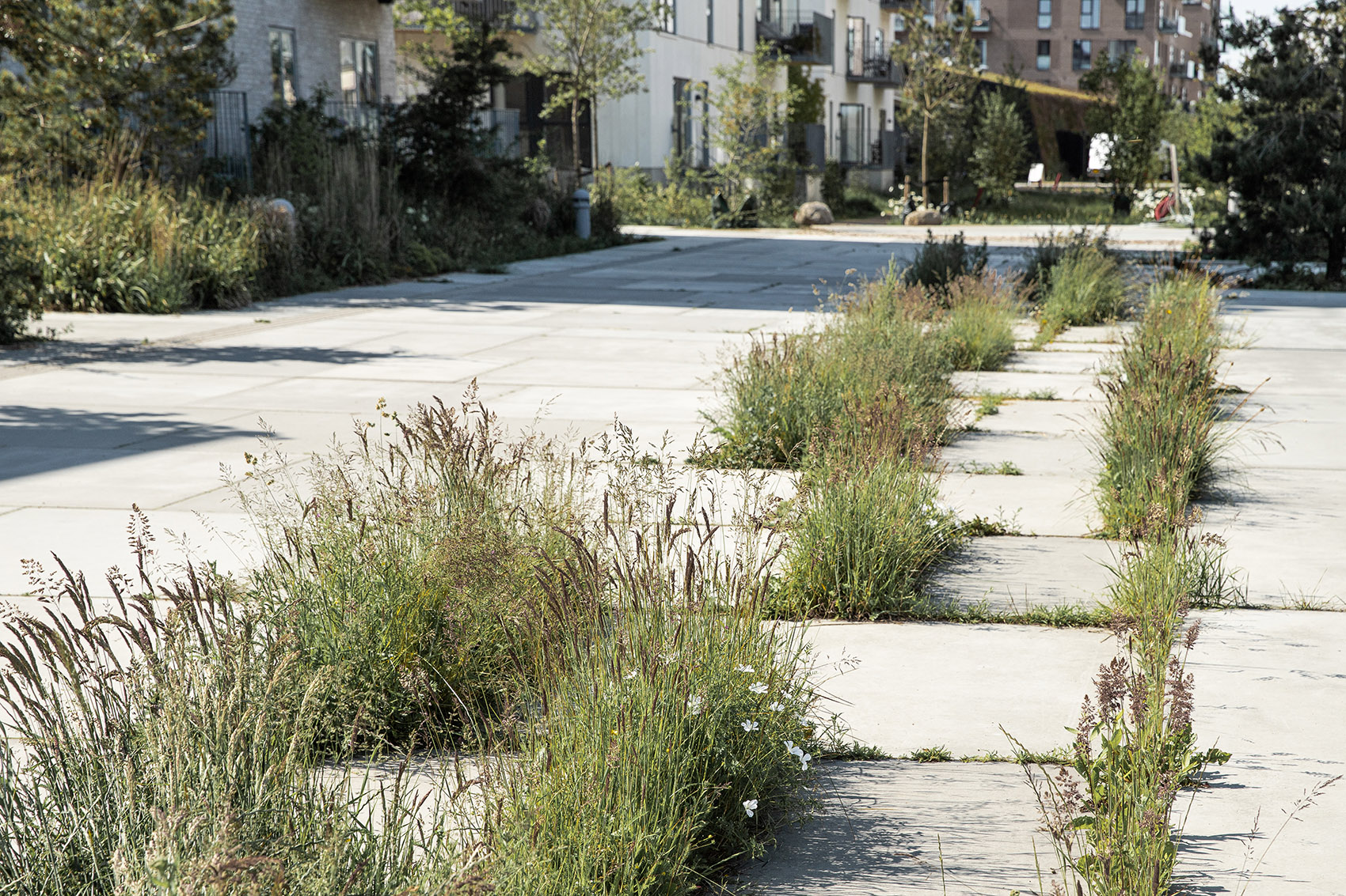 丹麦 Køge 市南港景观丨SLA-20