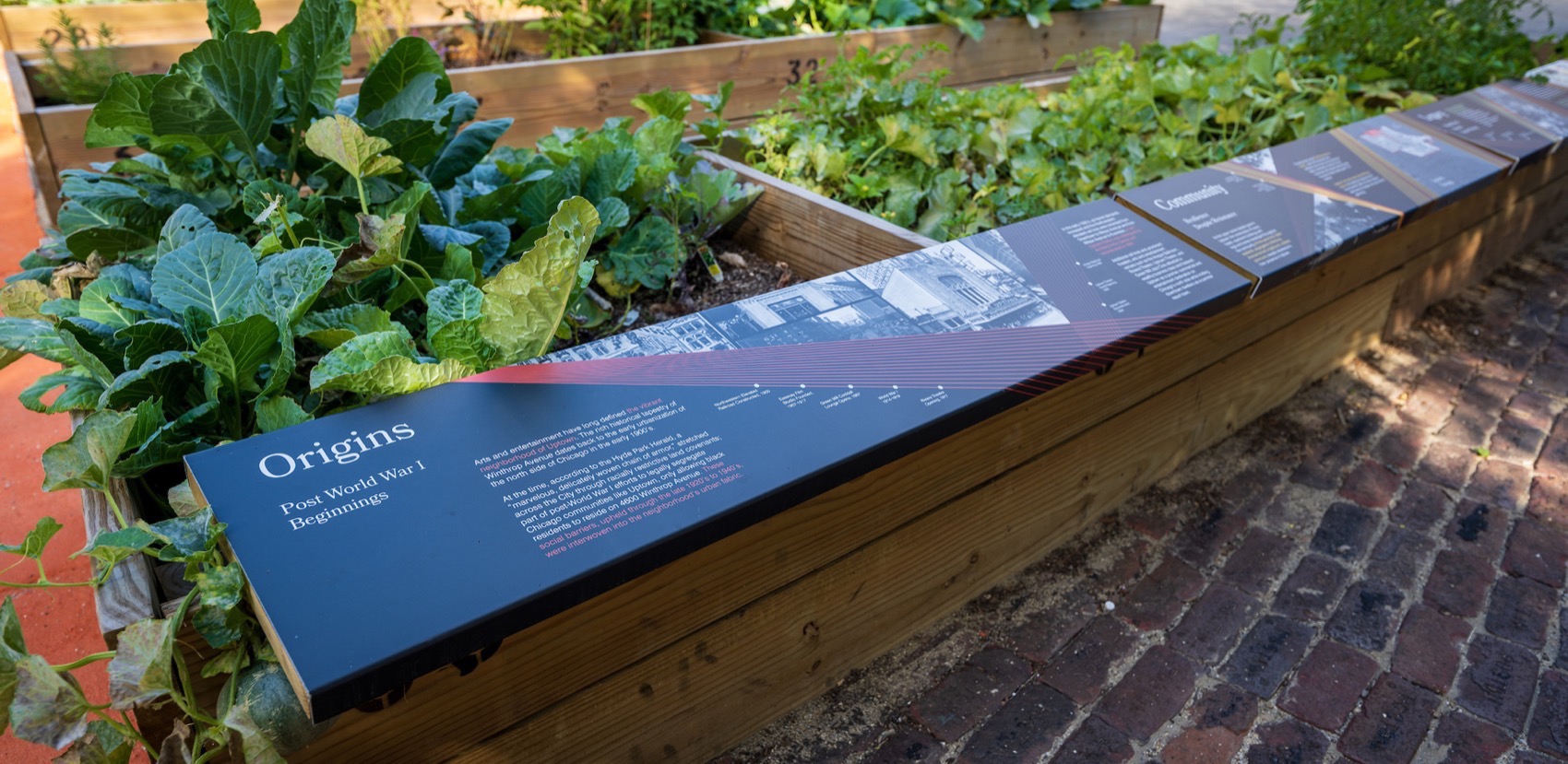 打造社区弹性:一座公平性的花园转型丨美国芝加哥丨MKSK,Inc.-29