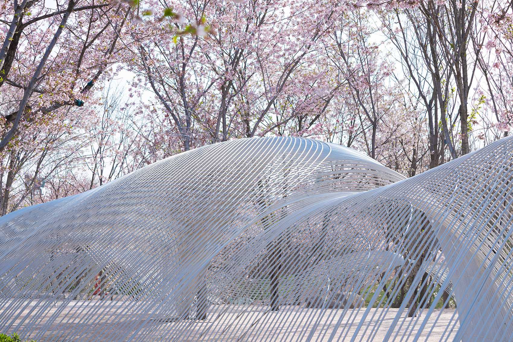 白鹭湾无界剧场丨中国日照丨北京观筑景观规划设计研究院-30