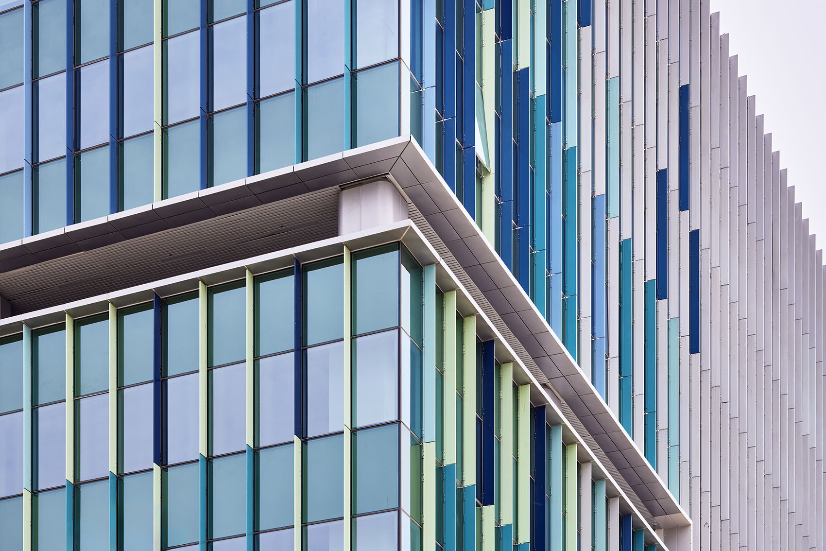 金奈科技园，印度 / Morphogenesis-39