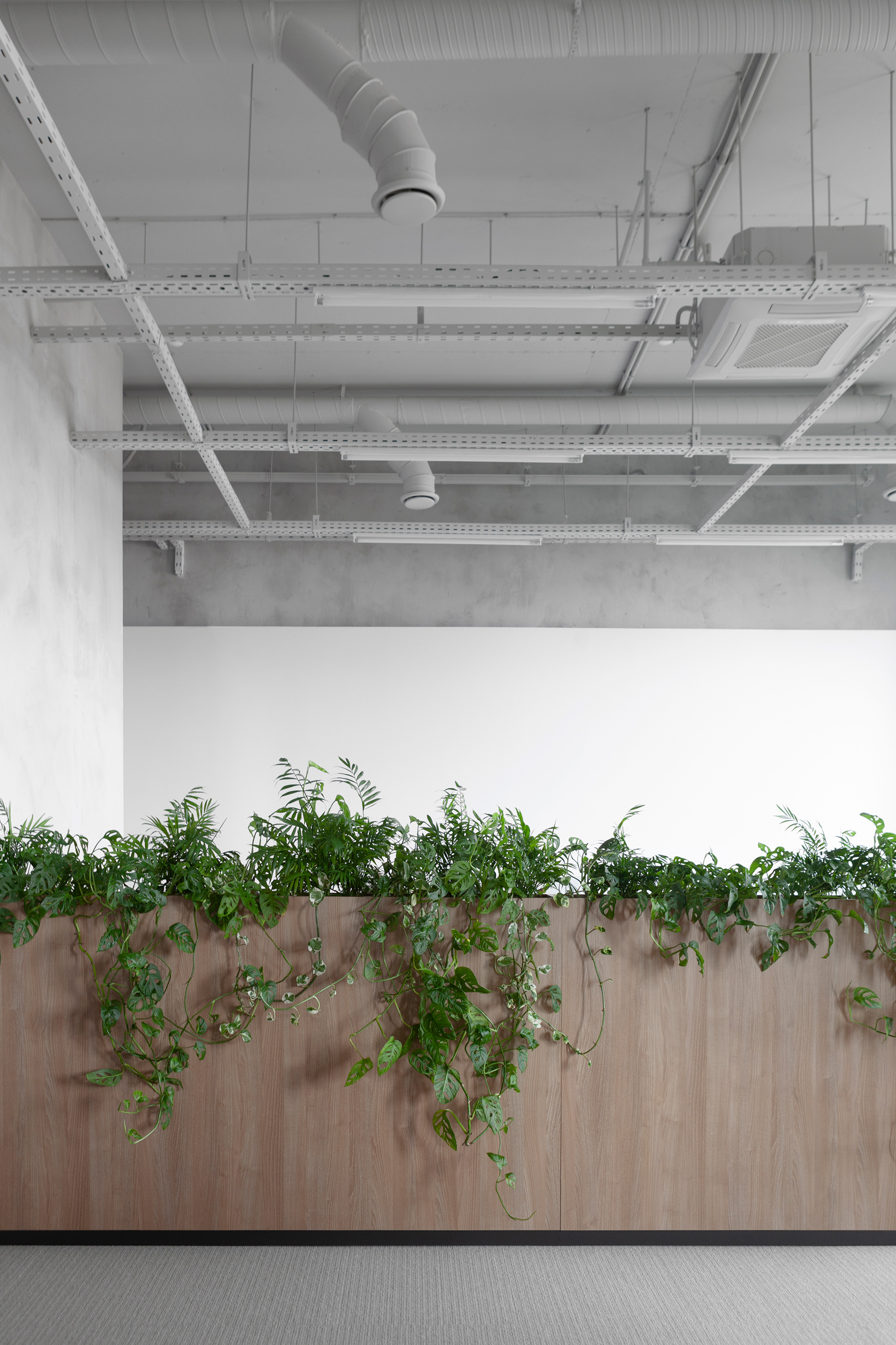 维佐尔，鲁奇6型（注：Luch 6这里按一般音译加型号推测翻译，Vizor音译，若有更准确专业背景信息，可能会有不同译法） 丨KOTRA architects-15