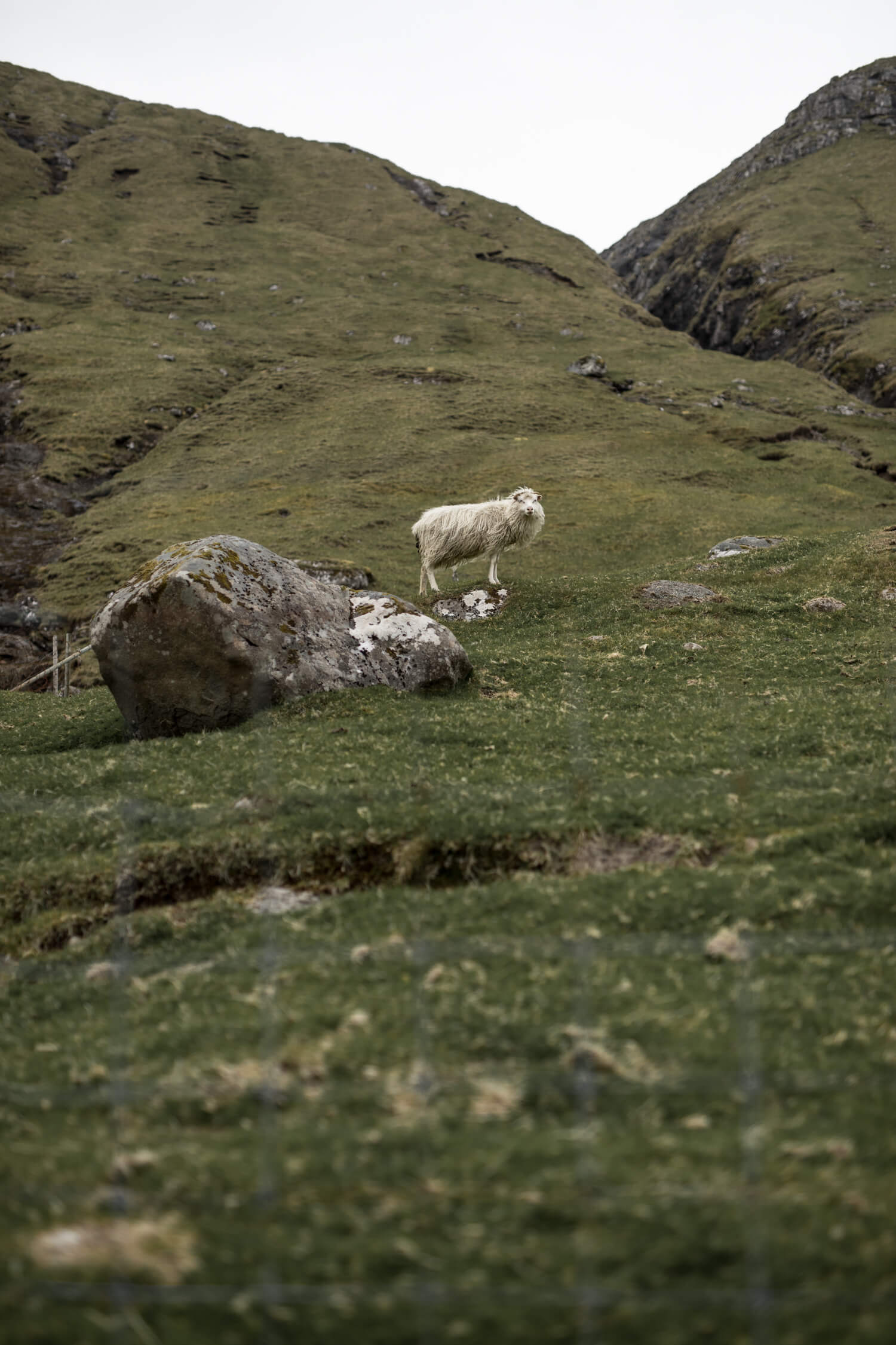 KOKS 餐厅丨Poul Andrias Ziska-35