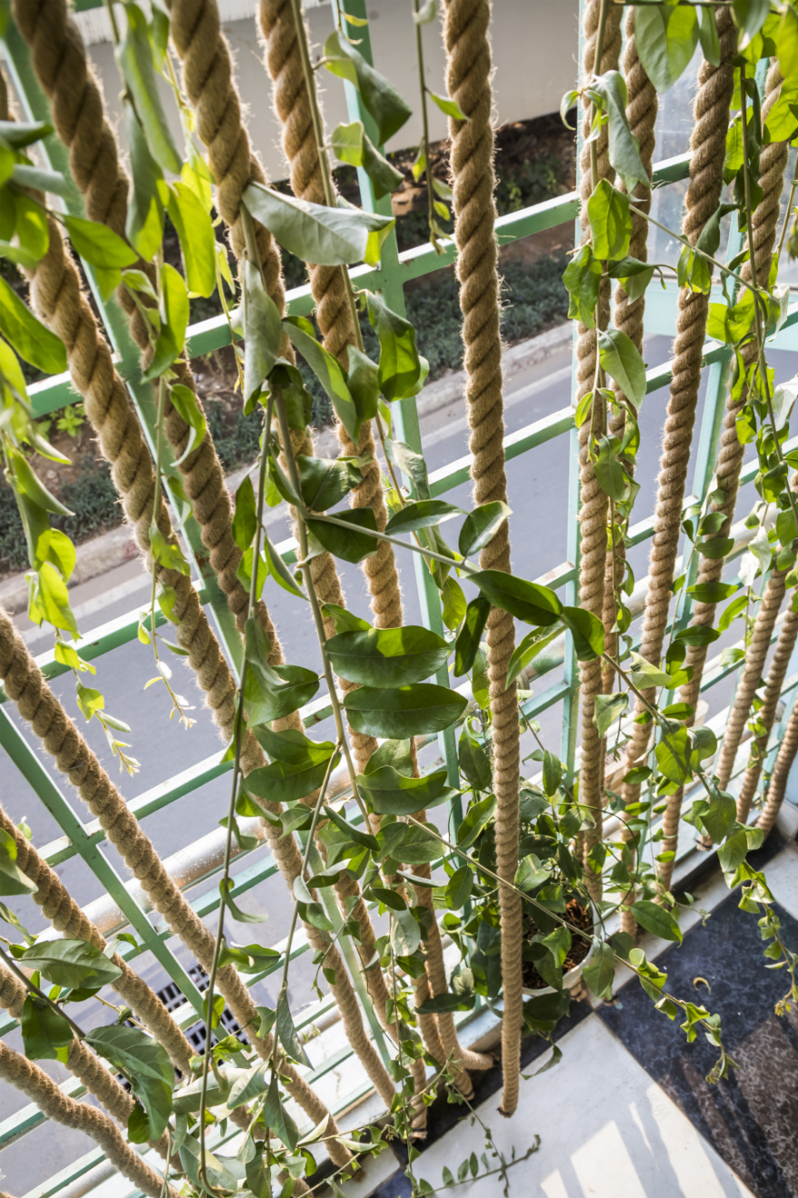 T4 设计工作室丨越南丨T4 design-57