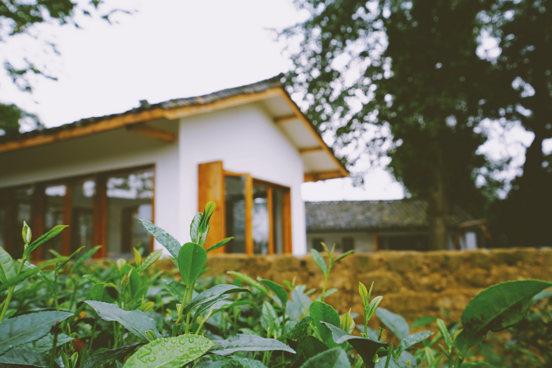 小茶院丨中国雅安丨北京使然建筑设计有限公司-4