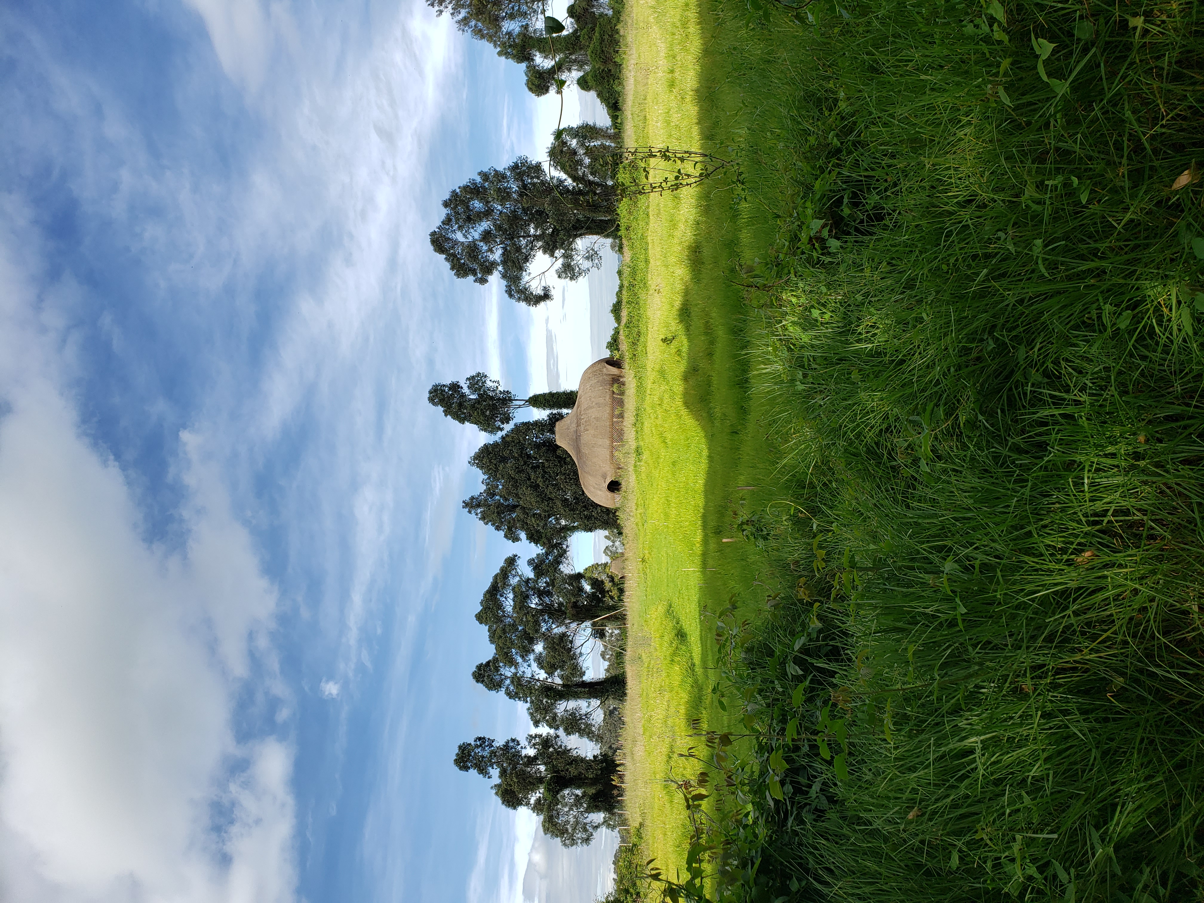 1ER TALLER DE CONSTRUCCIÓN CON TIERRA FO-4