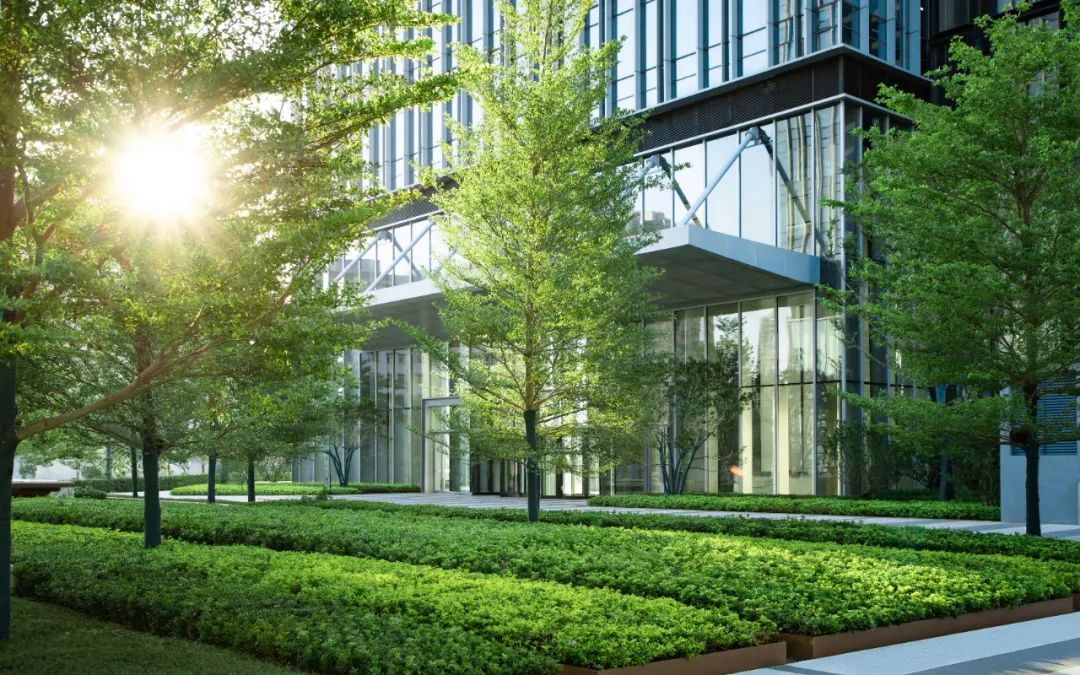 海南招商局区域总部周围景观丨中国海口-6