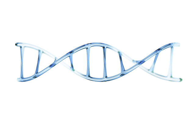 南通植物园温室 | 轻舟造型，四季花卉展示-45