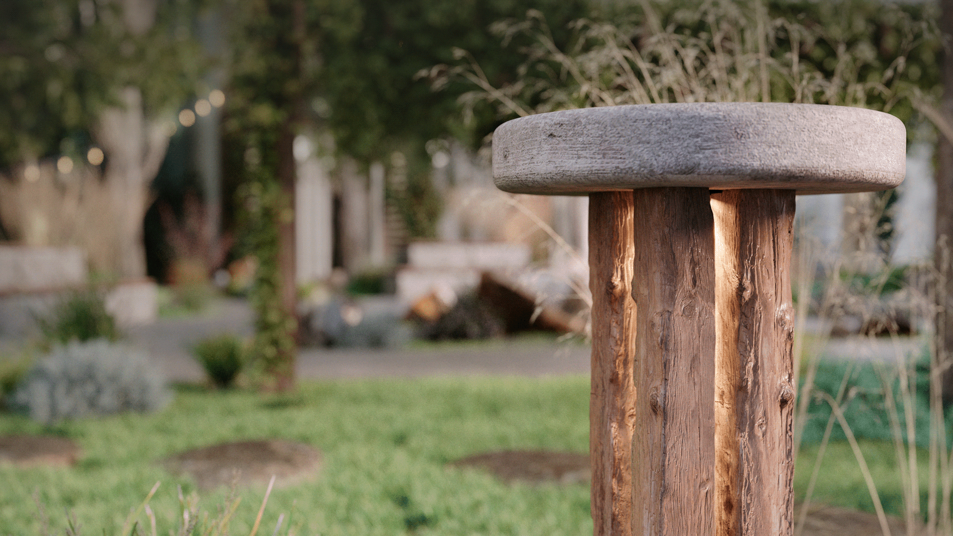 Reconstruction of the public garden-2