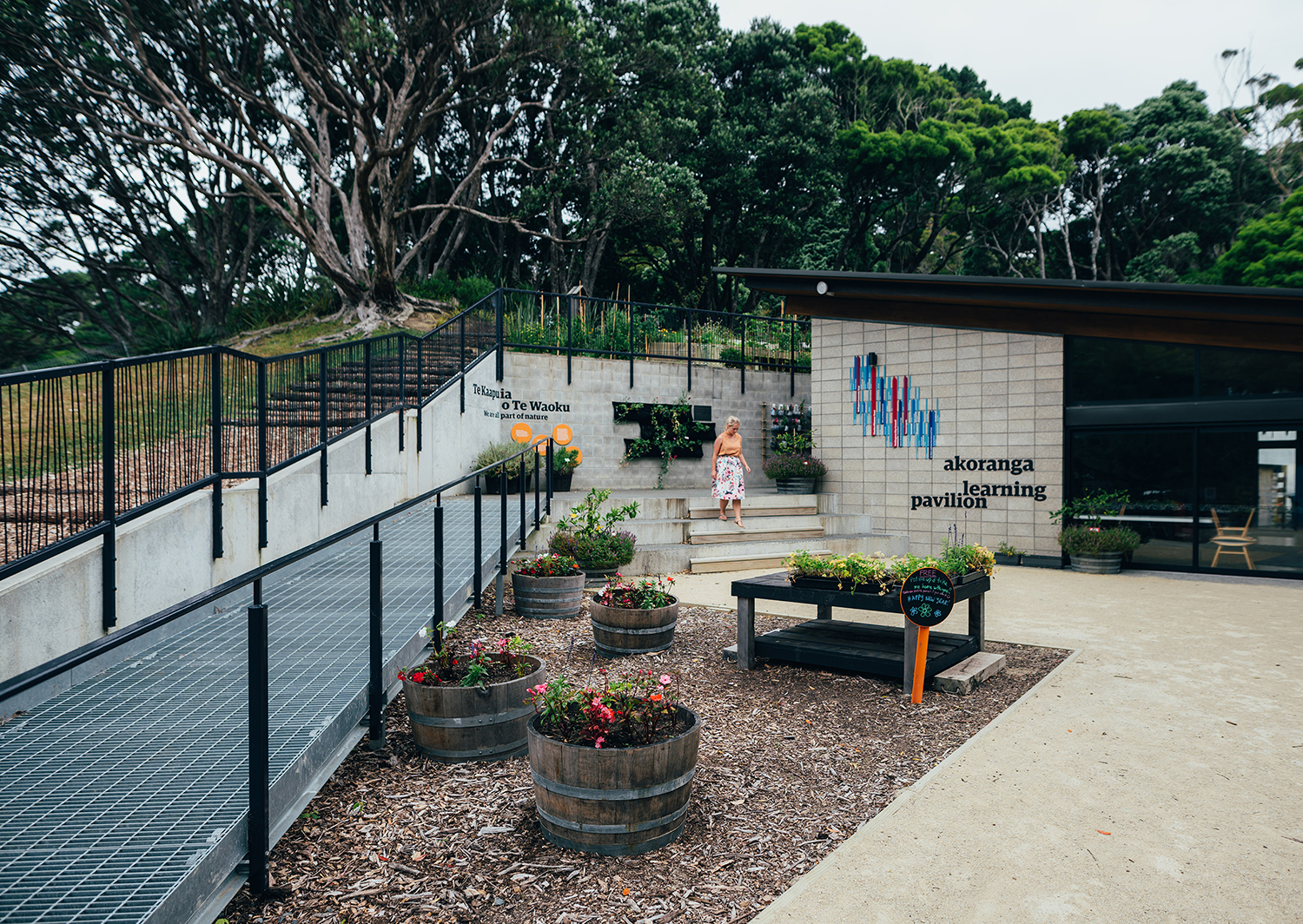 惠灵顿植物园的探索花园——儿童与自然的亲密接触-2