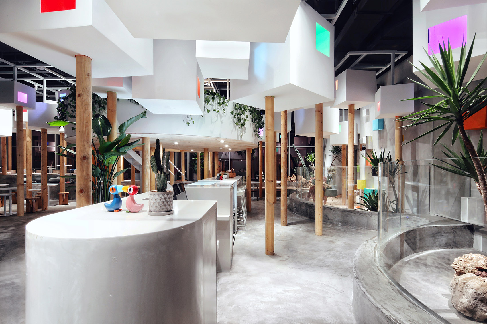 深圳TFB动物咖啡厅-15