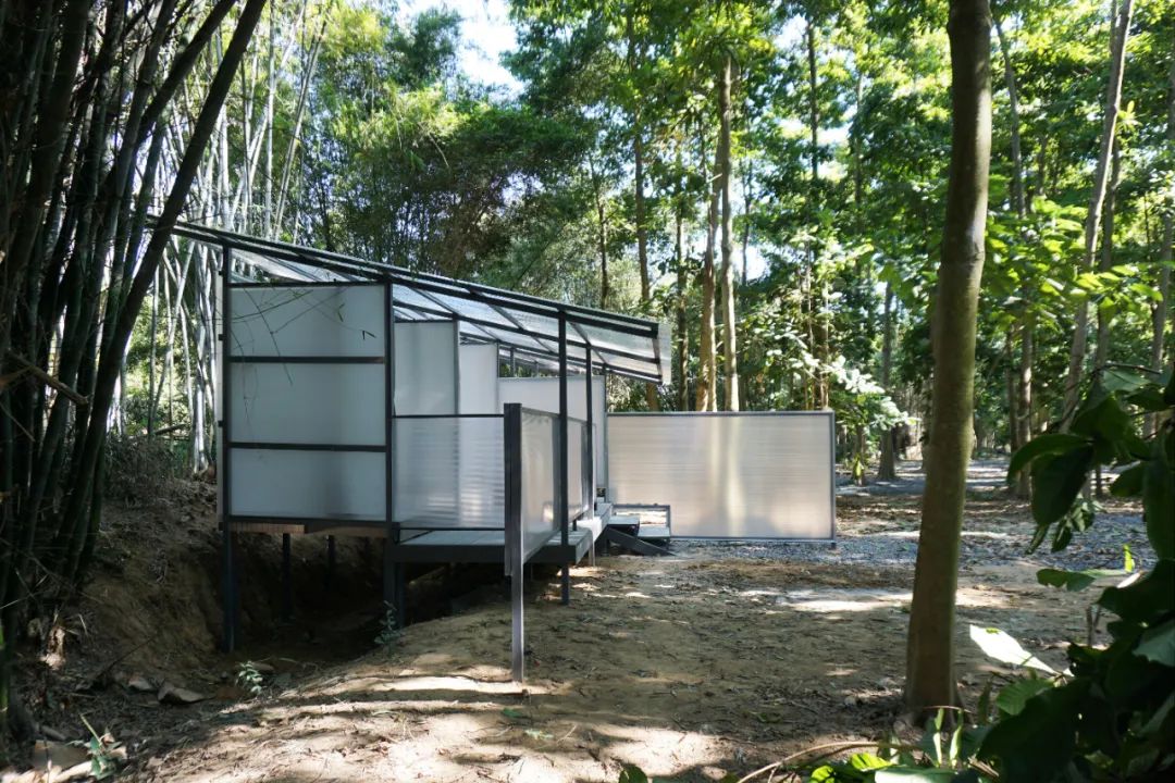 小竹坞丨中国中山丨半松园工作室-25