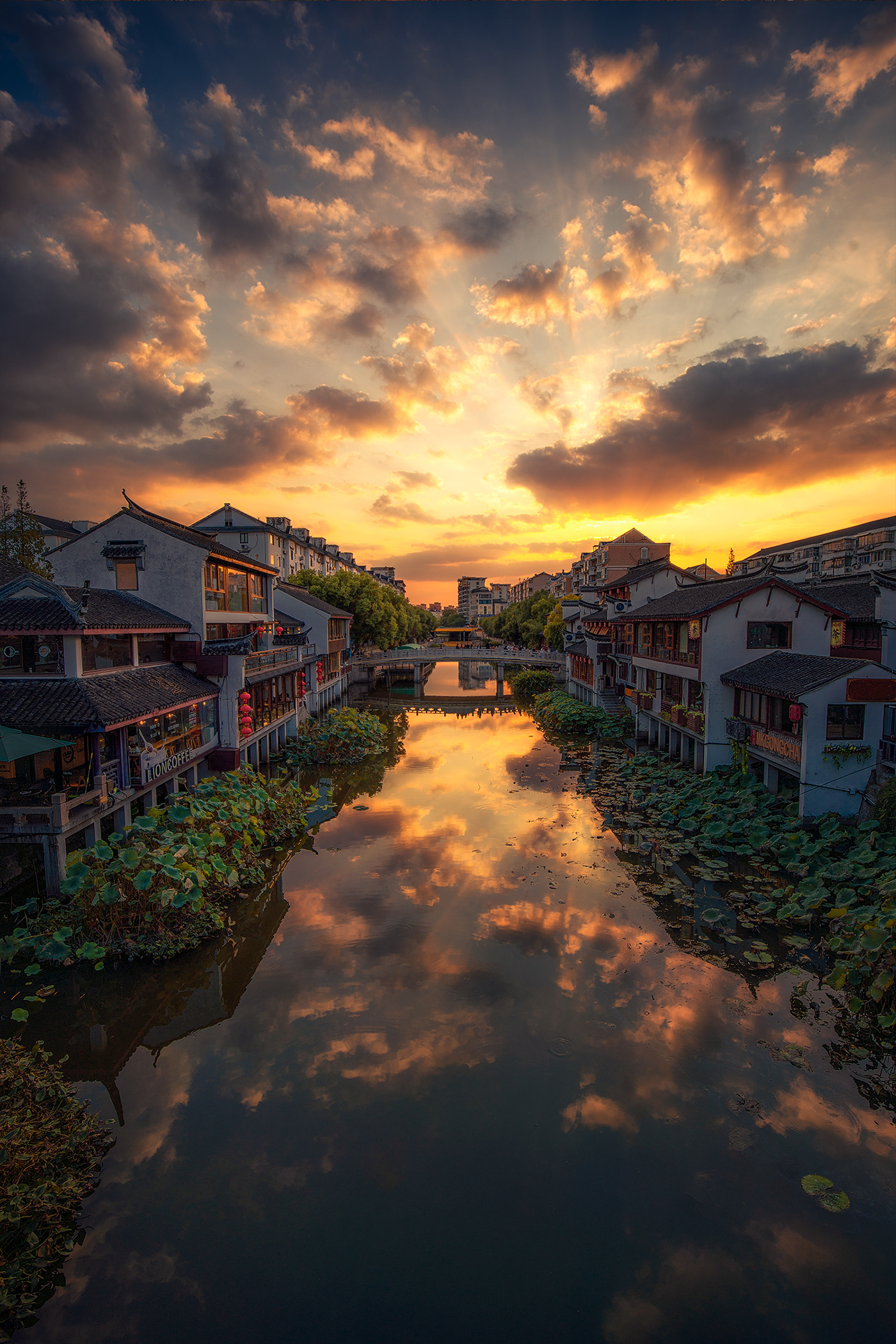 上海古今交融 | 历史遗迹与自然之美的保护与新生-4