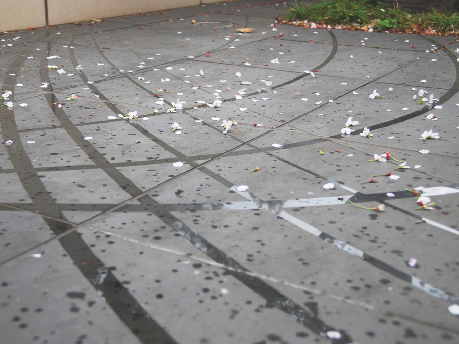 URBAN DOCK PARK CITY TOYOSU景观-3