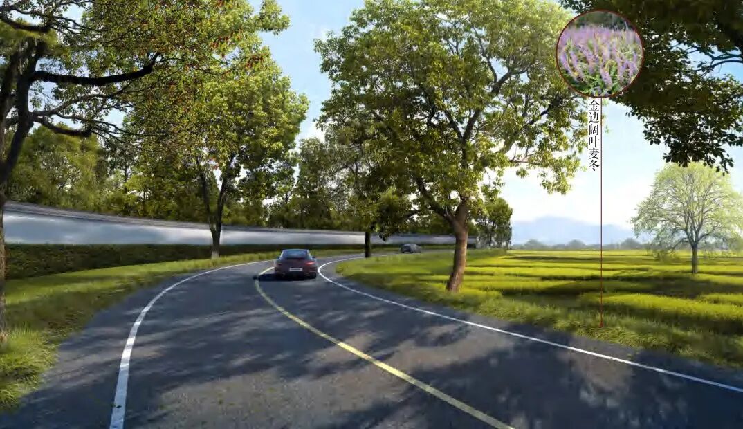 尚品｜越文化遗址公园：6900亩镌刻古越文明新坐标-39