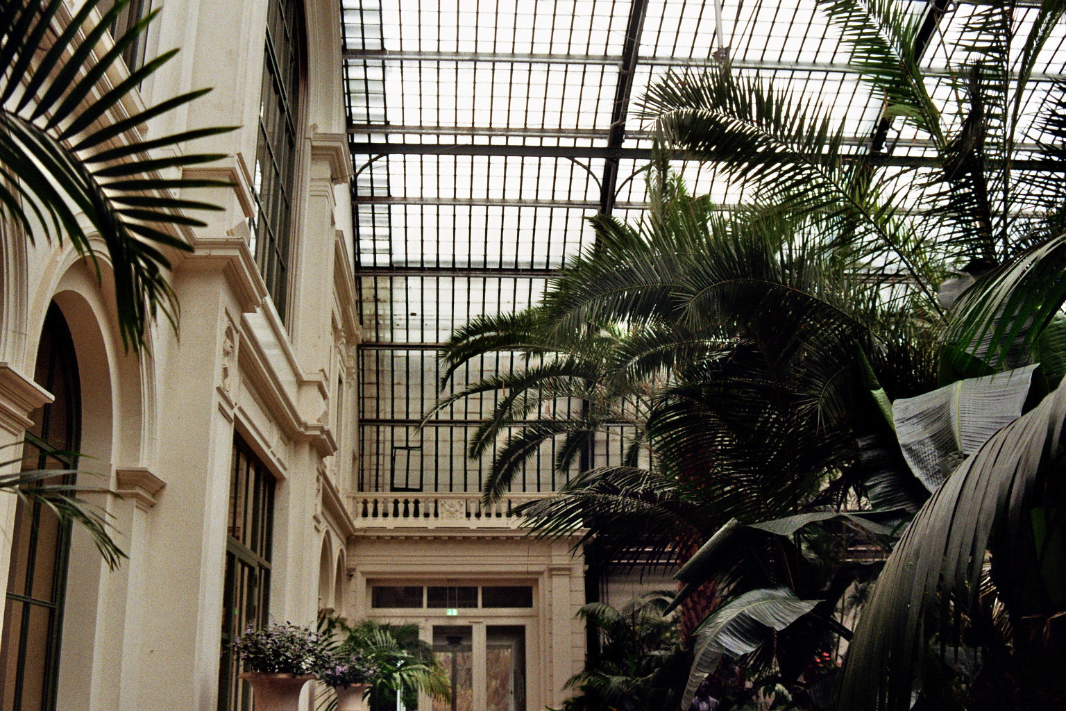 Botanical Gardens on film: A Therapy-8