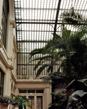 Botanical Gardens on film: A Therapy