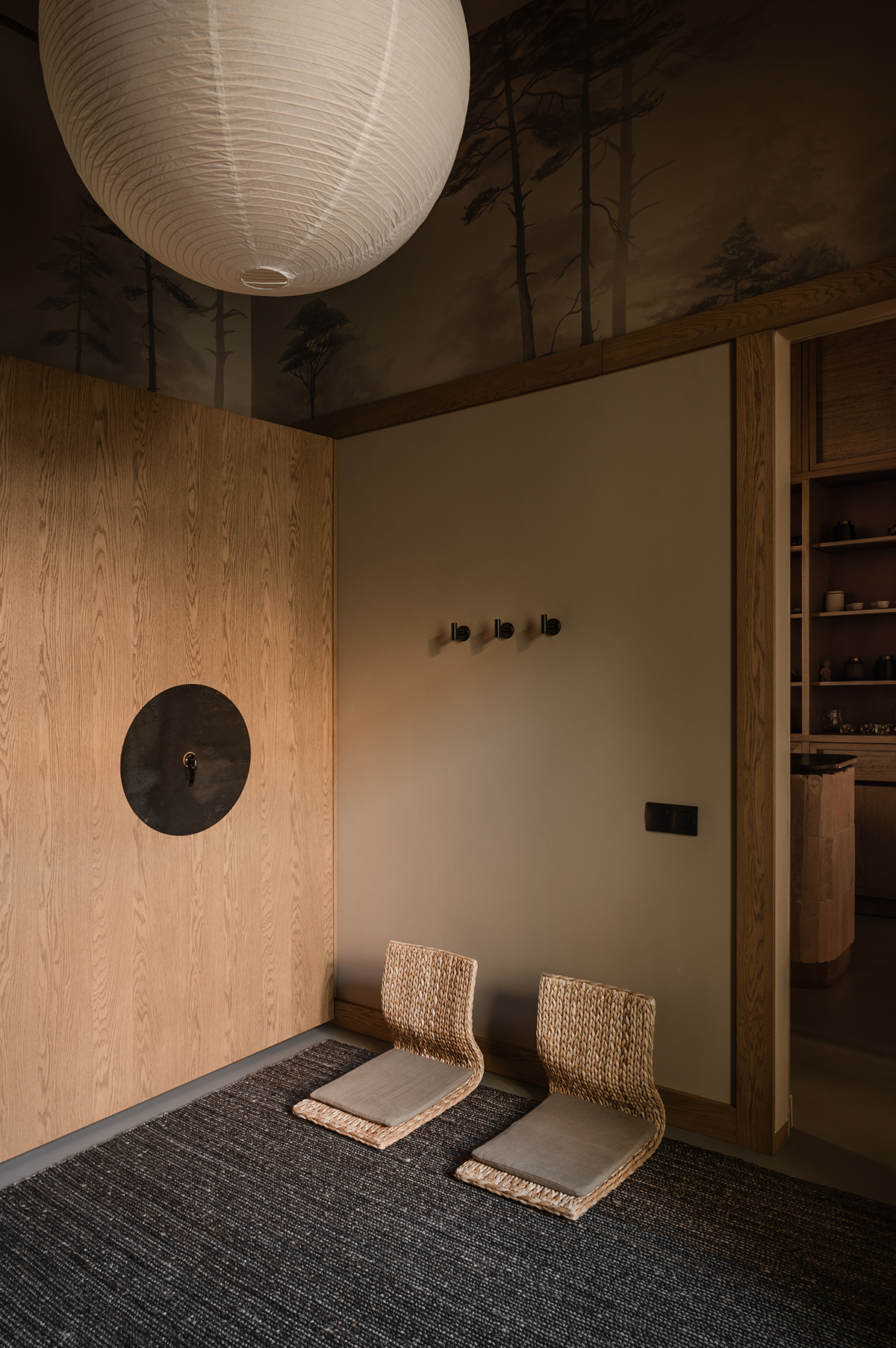 空间;太空丨乌克兰丨Olga Fradina-18