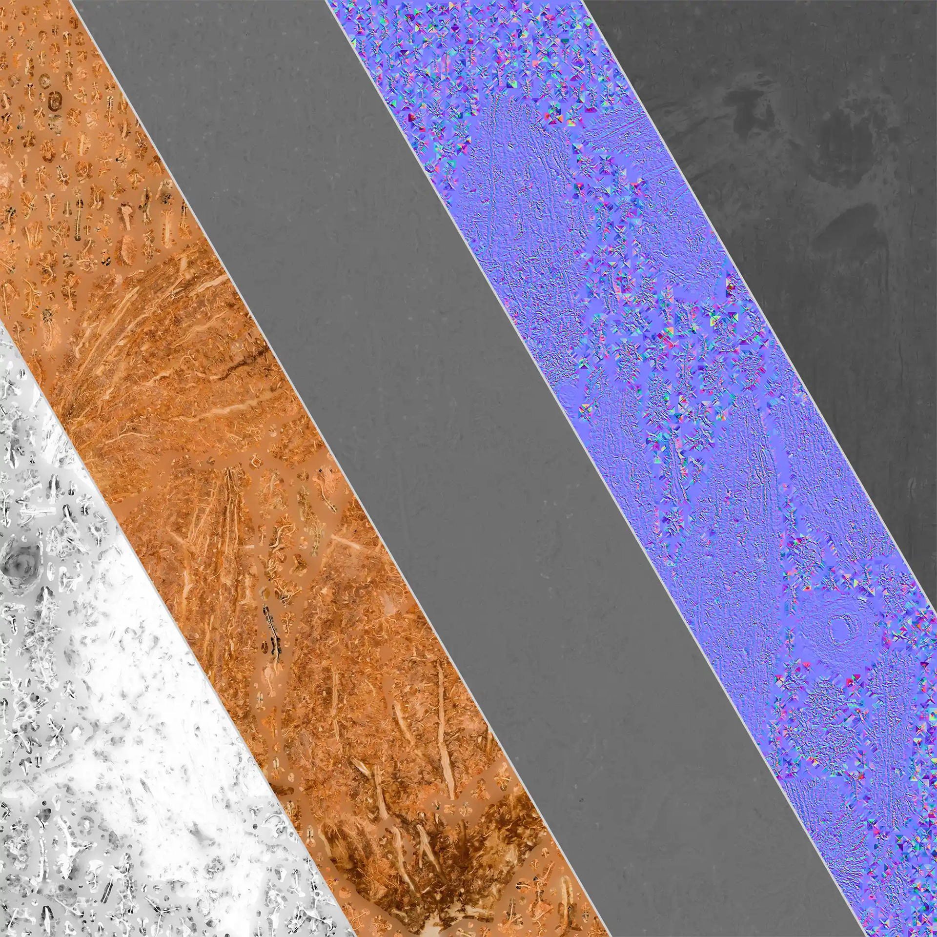 Coconut Fruit 03（3D椰子水果模型项目）-4