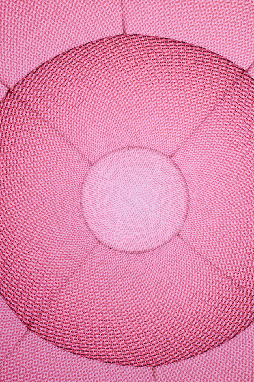 海牙2024BlowUP艺术节 Hofvijver漂浮花园丨荷兰海牙-58