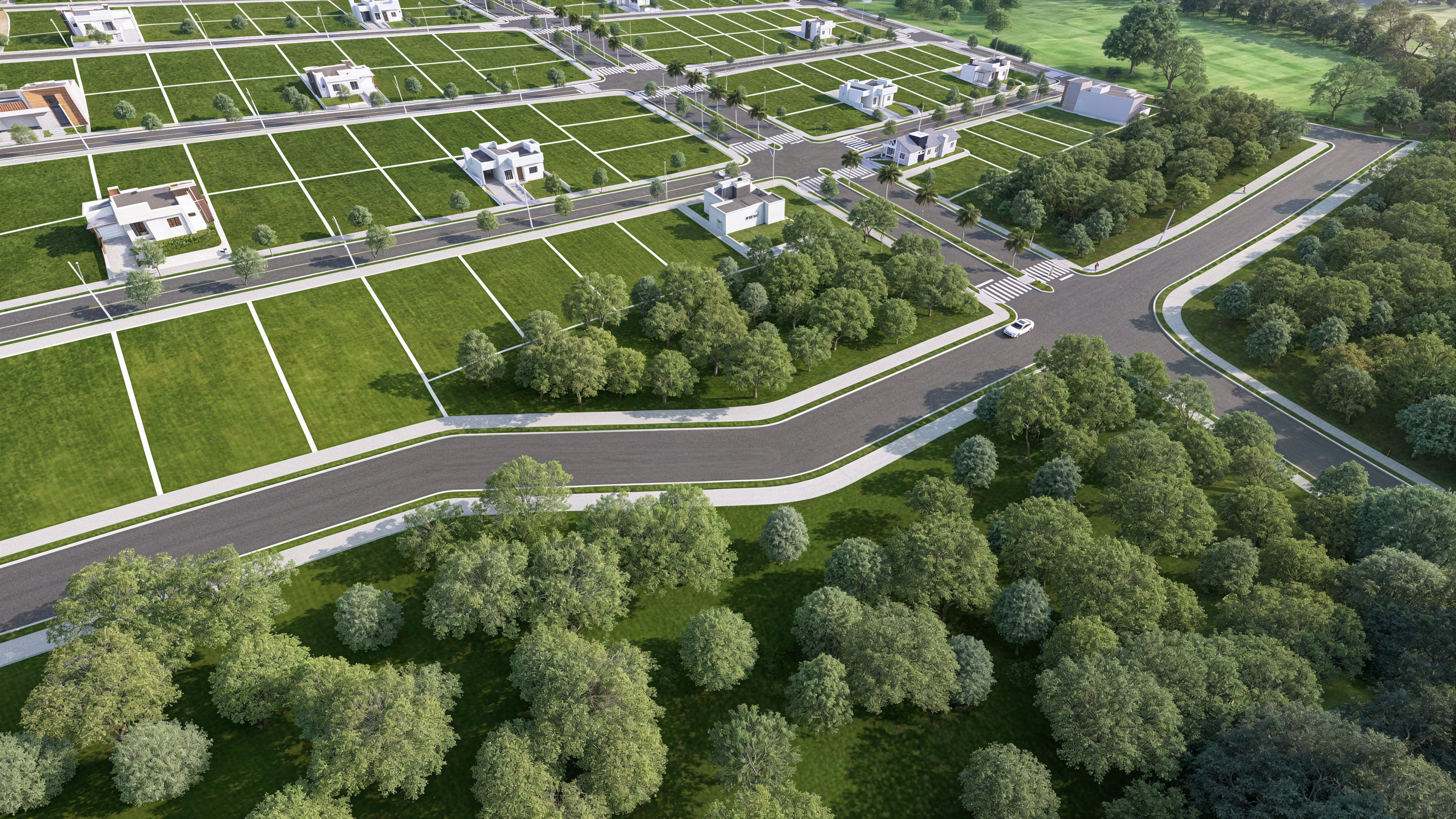 Novo Horizonte II-12