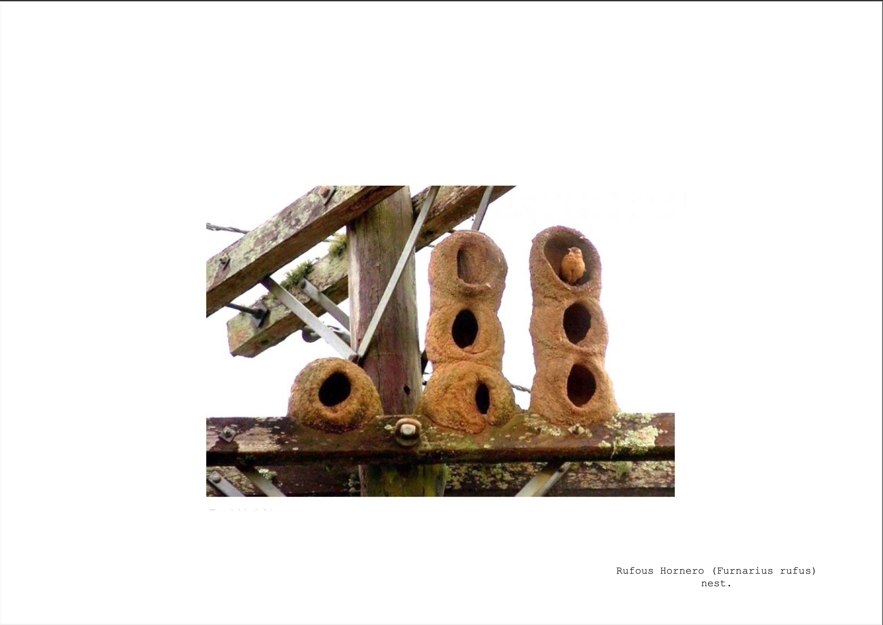 星座阿列克谢广场啤酒（注：Ale一般指麦芽啤酒，这里结合语境推测Constellation Ale·anderplatz可能是一种啤酒名称，Aleanderplatz疑似拼写有误，可能想表达Alexanderplatz即亚历山大广场，所以有此翻译，但需根据实际情况进一步确认 ） 丨德国柏林-3