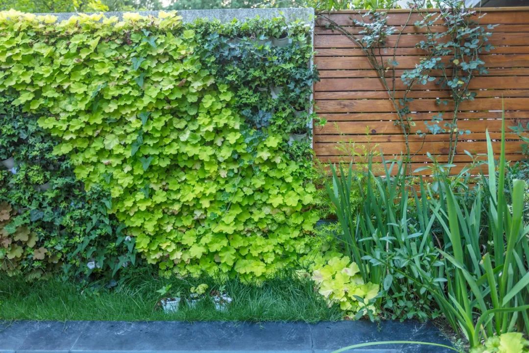 美式庭院设计案例,打造浪漫花园生活-29