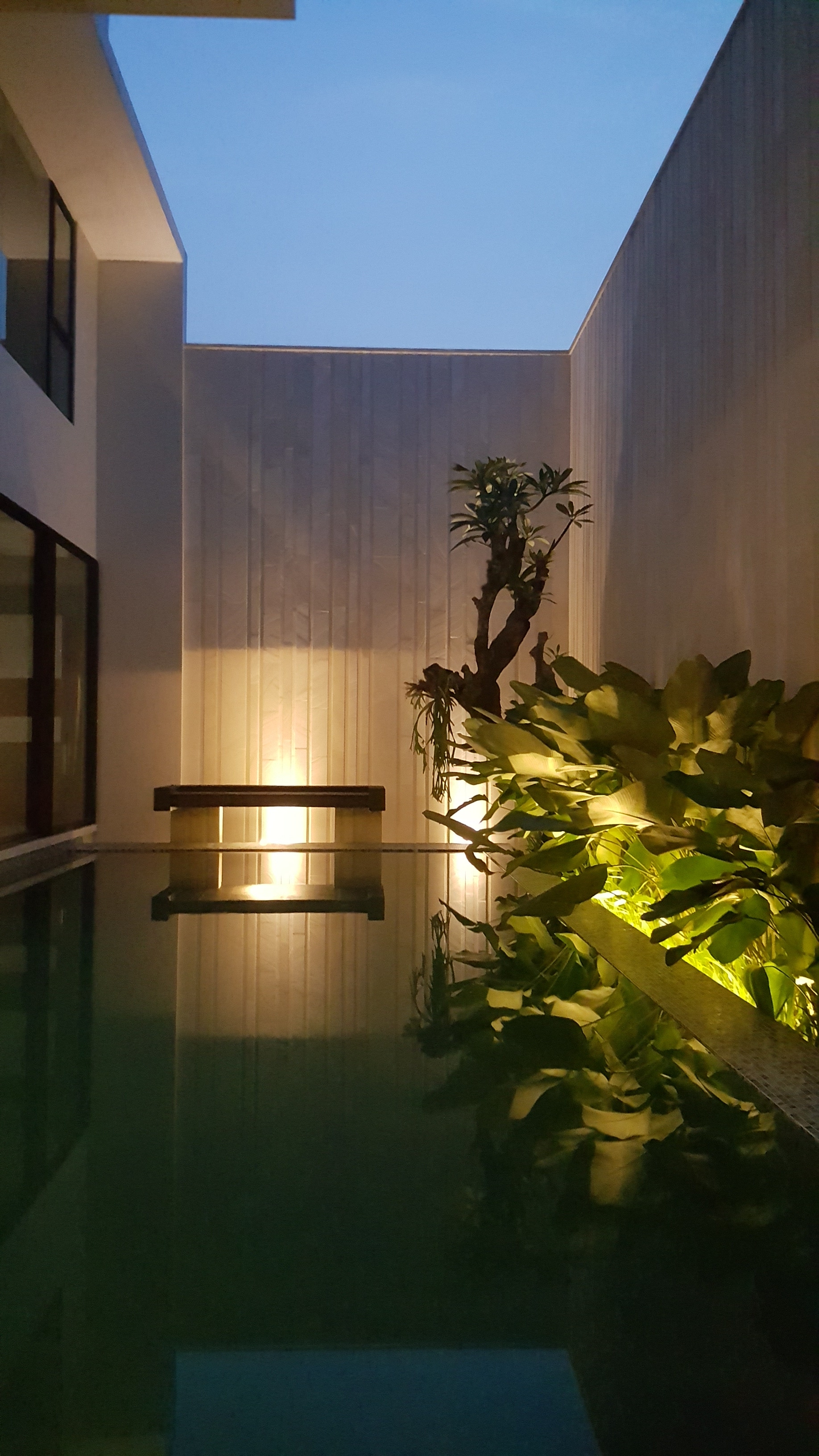 the skylight house-4