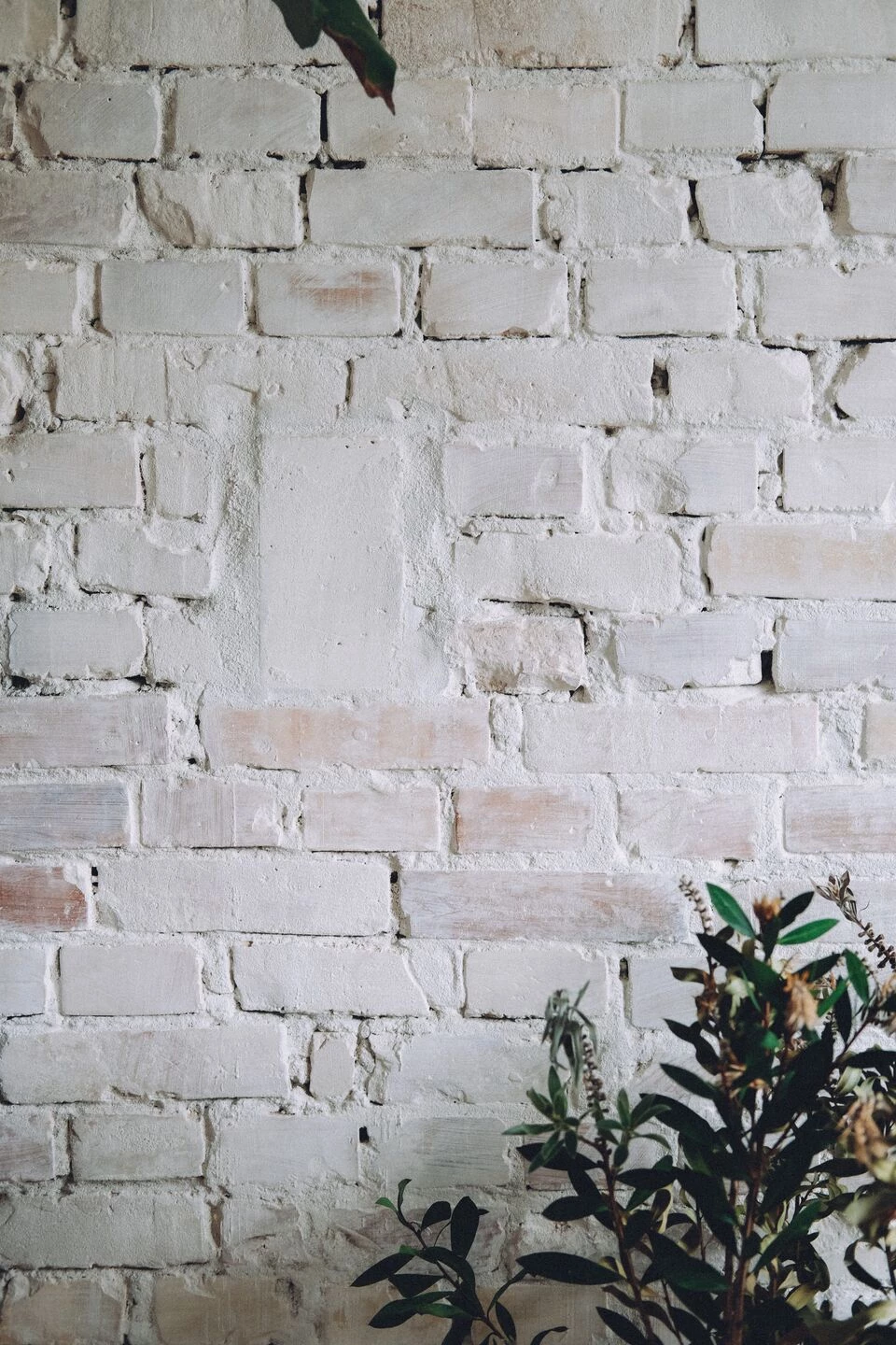 丹麦哥本哈根的澳大利亚风格公寓设计丨Stance Studio-53