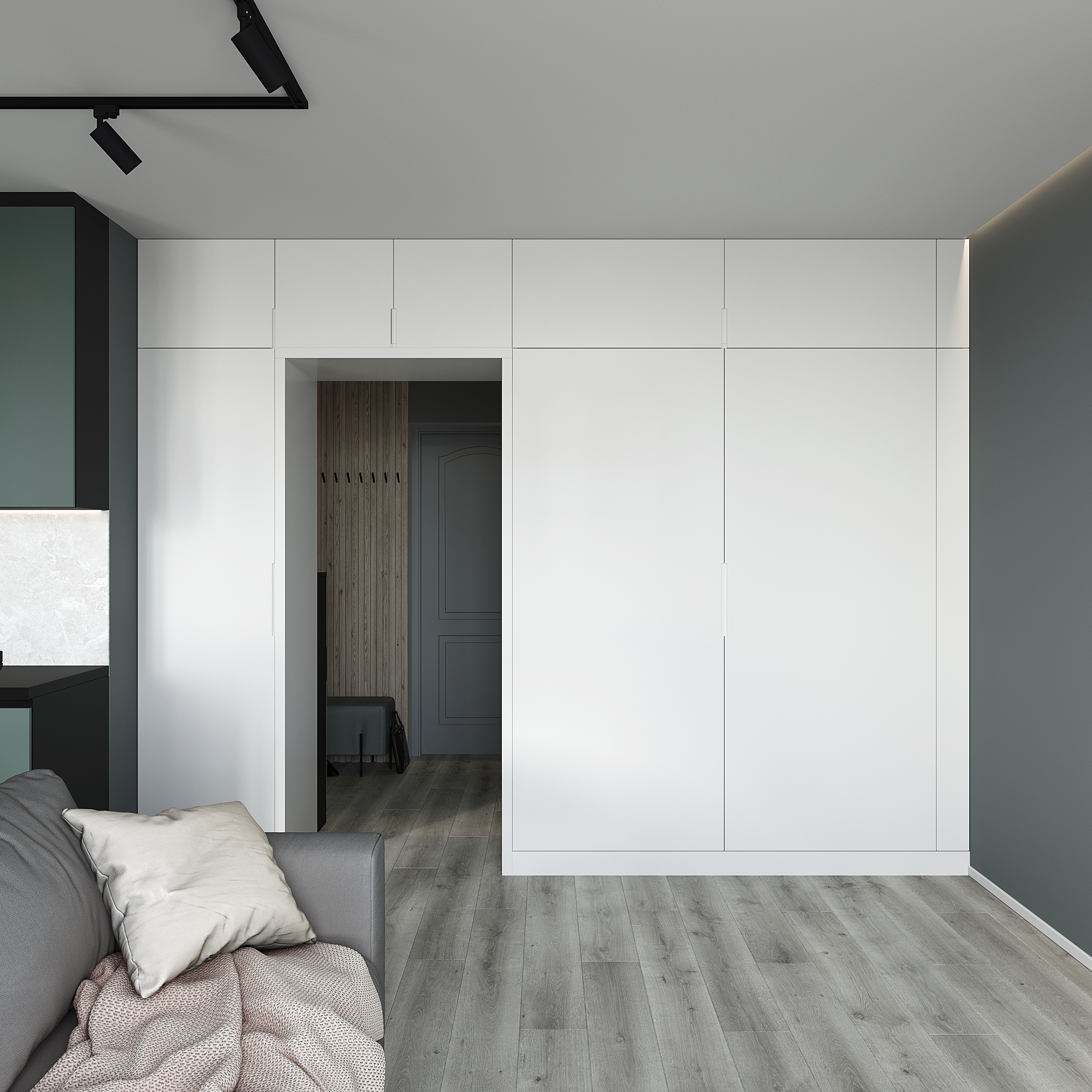 Визуализация кухня-гостиная-2