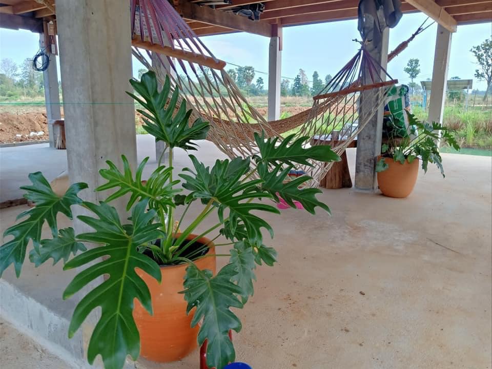 20万泰铢建造的木质乡村房屋模型丨泰国-21