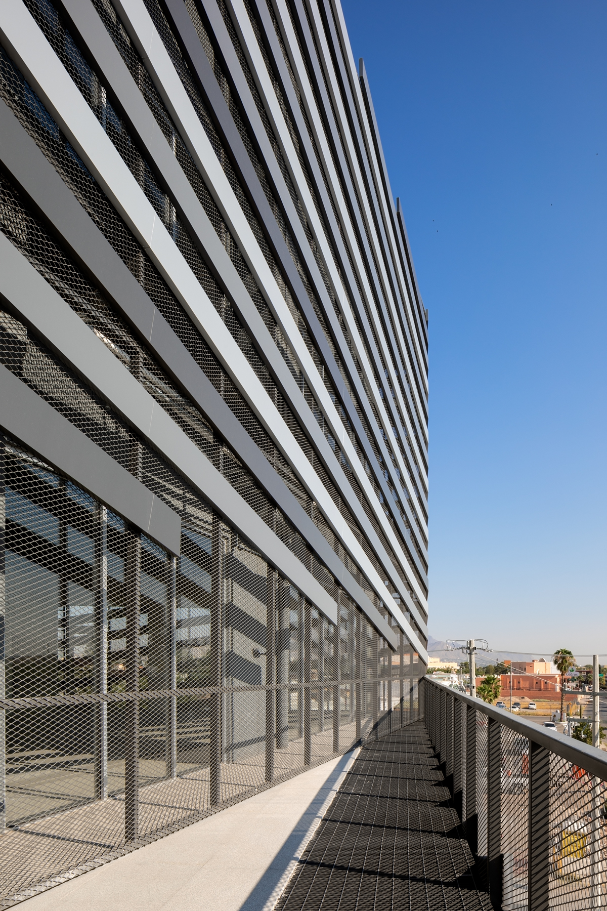 帕斯亚赫·文图斯-21