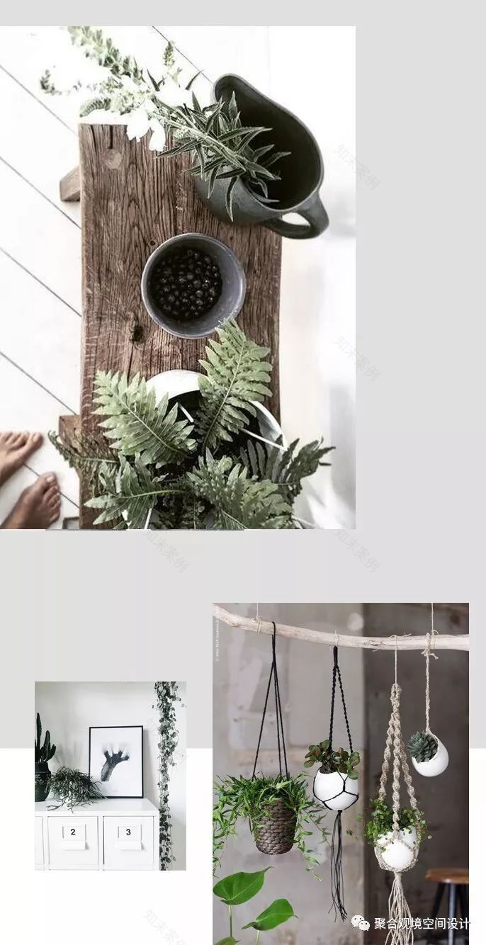 繁花密林中的新美学空间-36