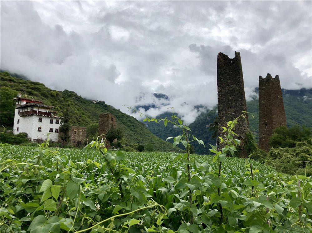 乡土建研 | 生态智慧在乡村建设中的应用-35