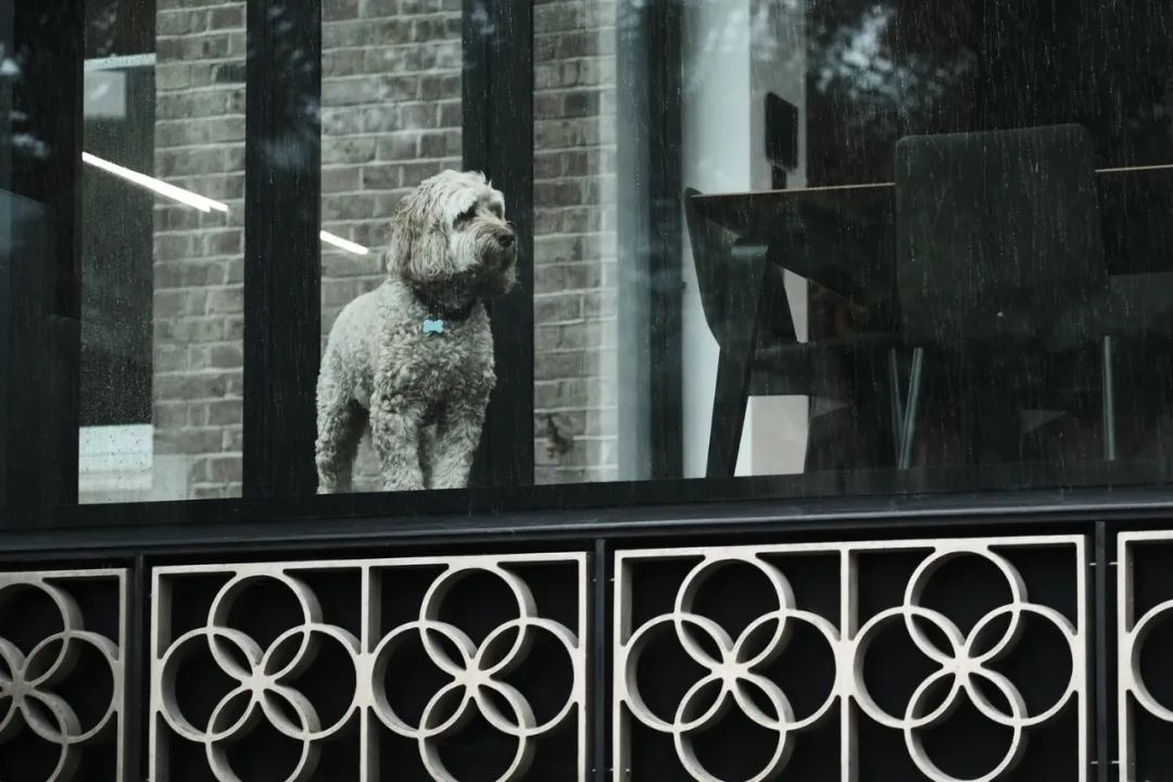 四叶饰屋丨加拿大维多利亚丨Hyde + Hyde Architects-16