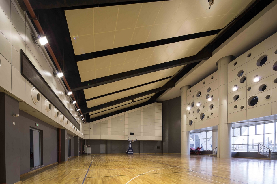 苍南体育中心 | 型钢桁架结构与曲线美学的完美结合-57