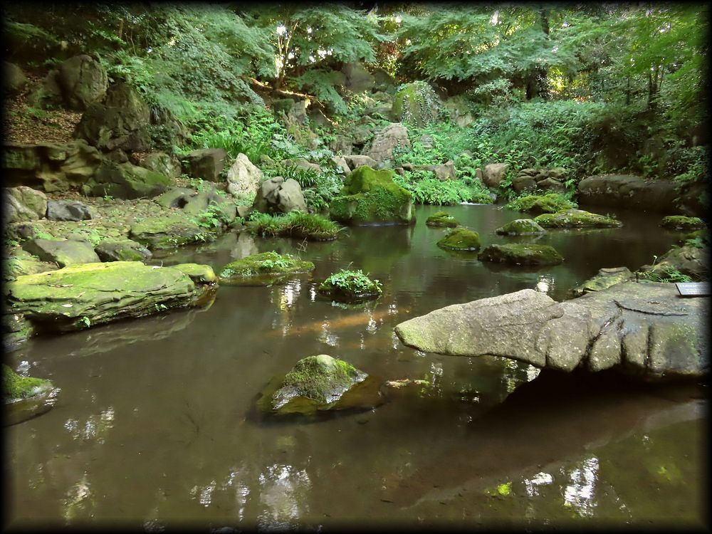 六义园丨日本京都-28