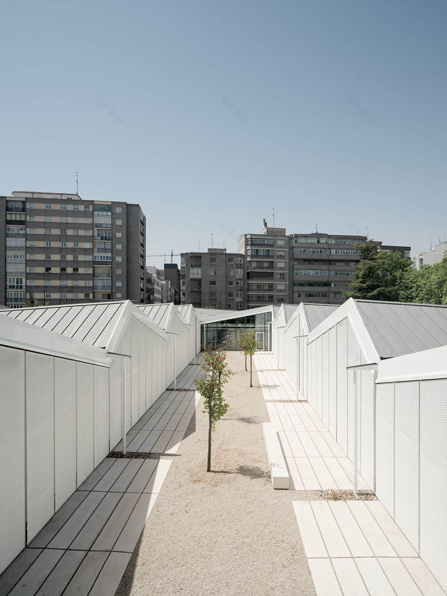 巴利亚多利德艺术学院丨西班牙-18