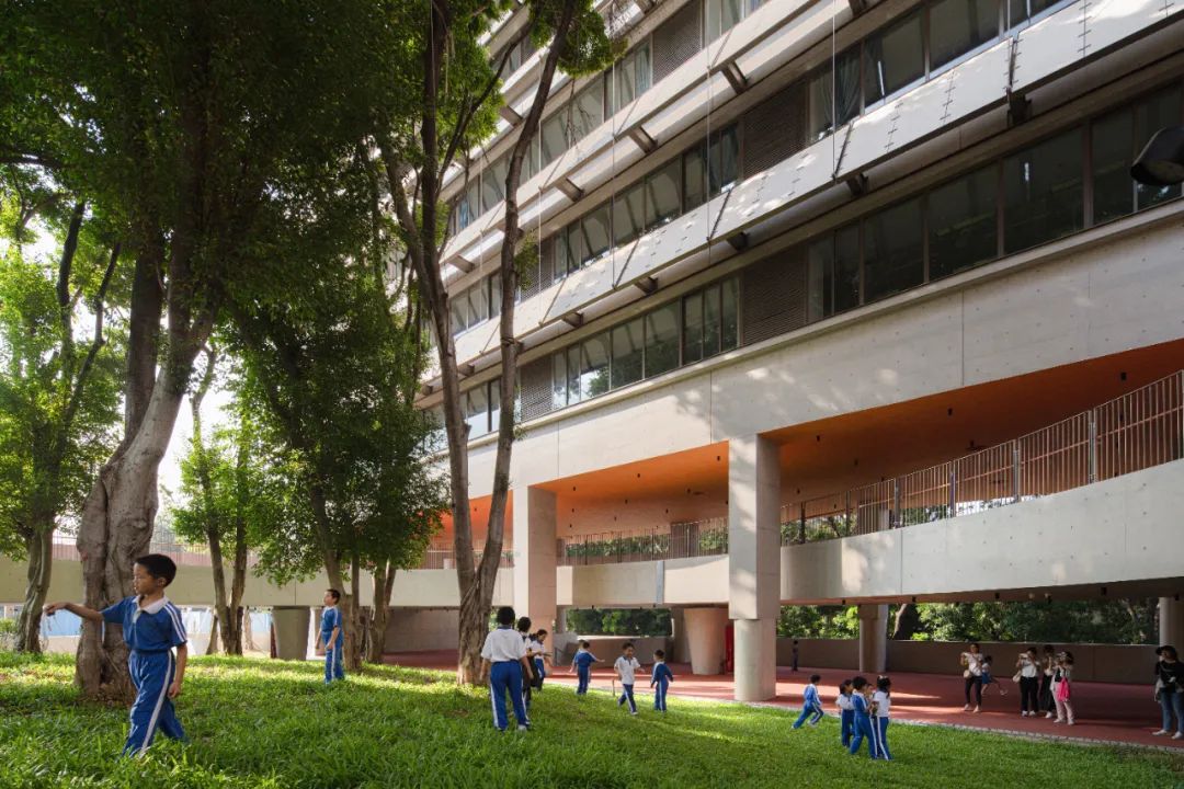 荔园外国语小学（景田）丨中国深圳丨直向建筑-17