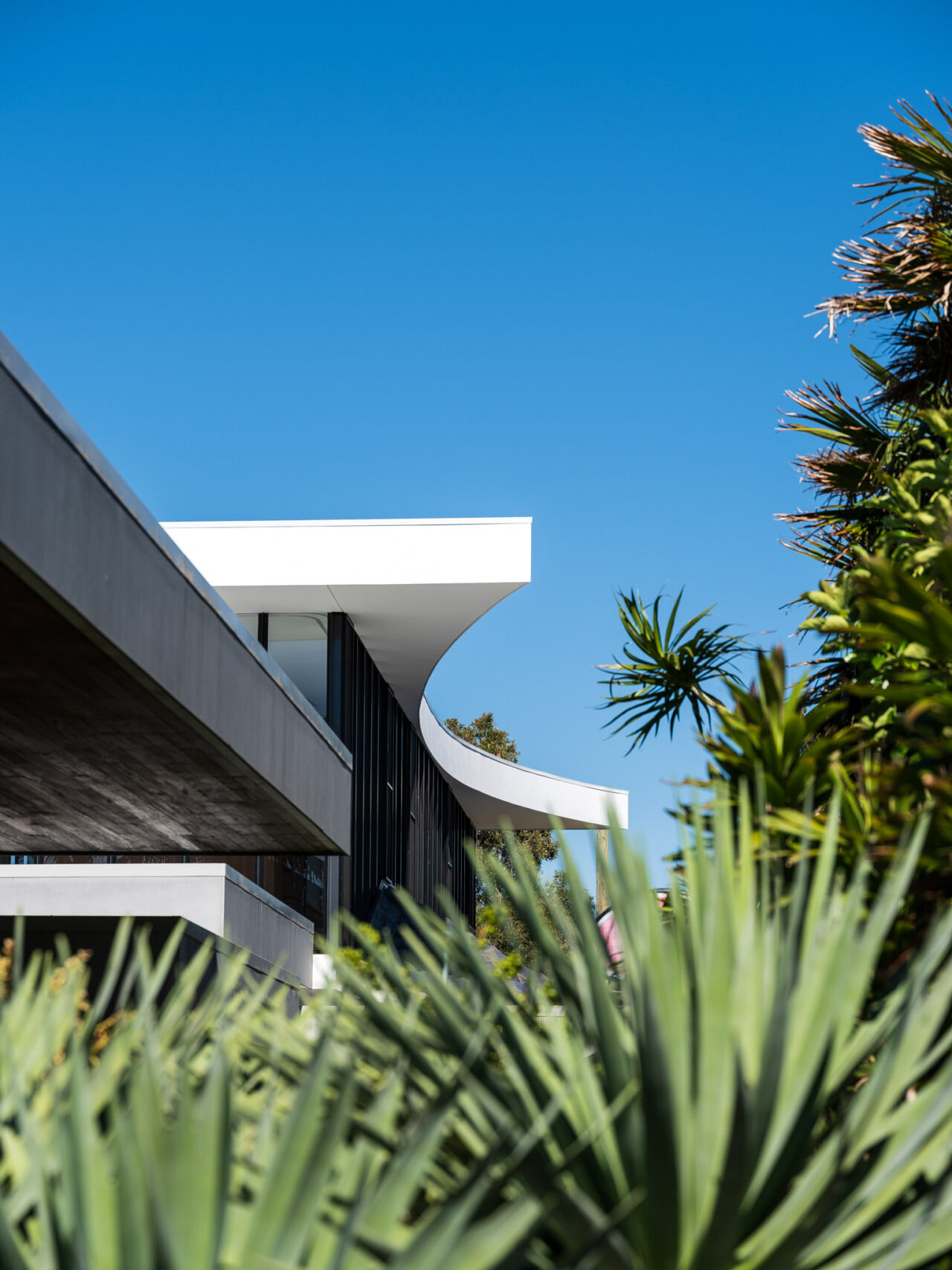 丨澳大利亚新南威尔士-2