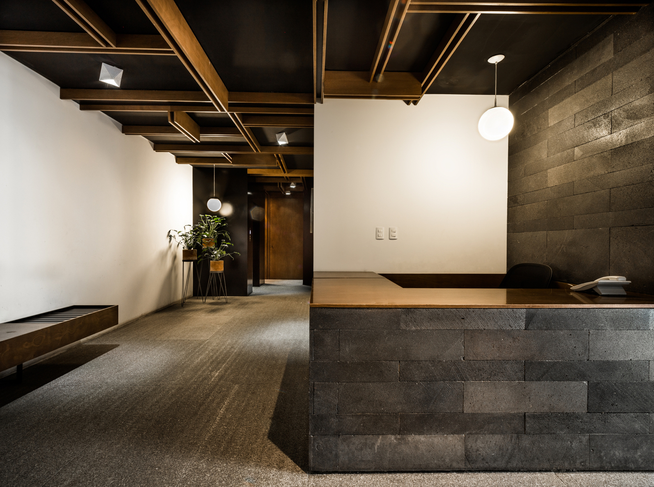 墨西哥城市中心绿意盎然的高级公寓楼-23