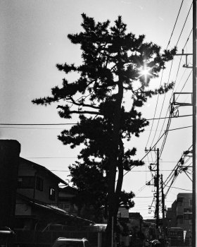 Zushi  series