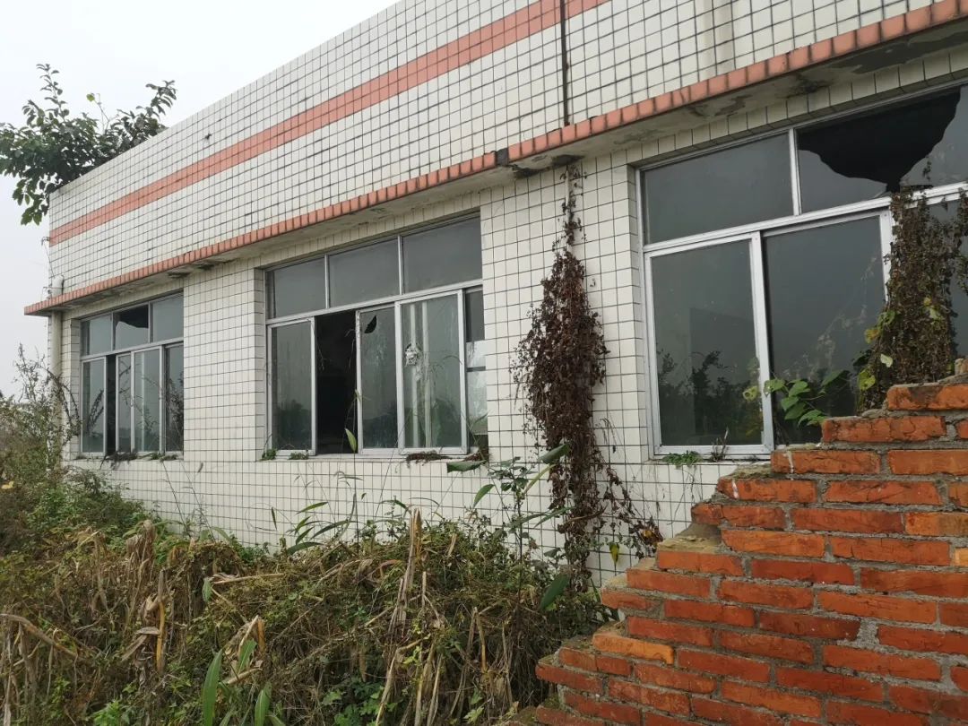 一场人与场地共生的创新实验｜铁牛村青年乡建实践营活动回顾-6