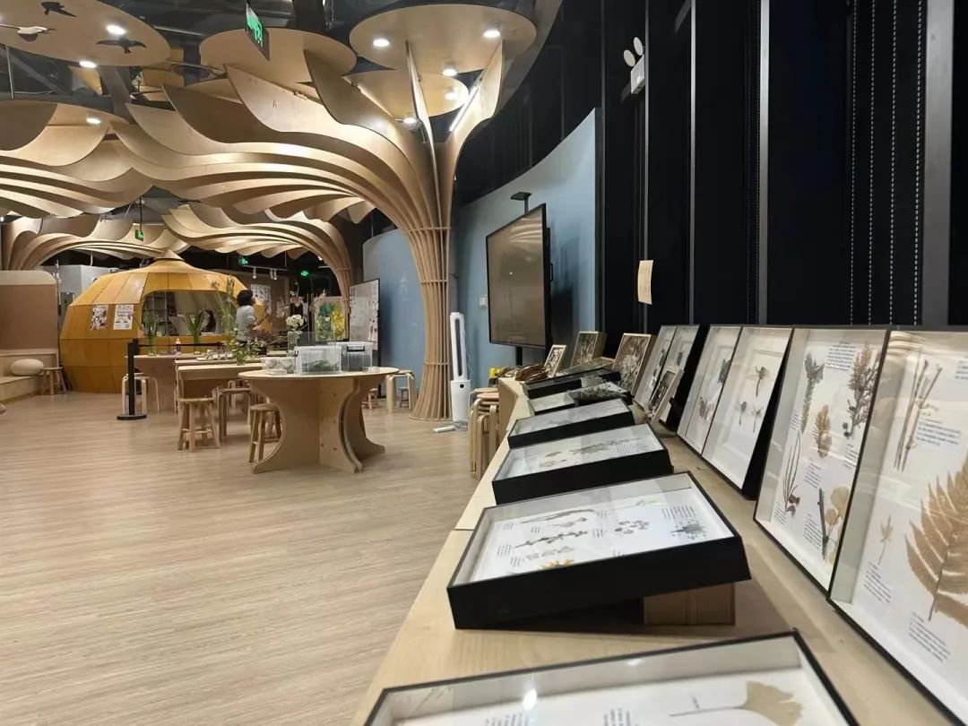 案例 | 上海首个在公园中的自然中心——和平公园自然中心-115