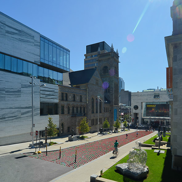 蒙特利尔街头的“向日葵田”丨加拿大蒙特利尔丨TOM II-8