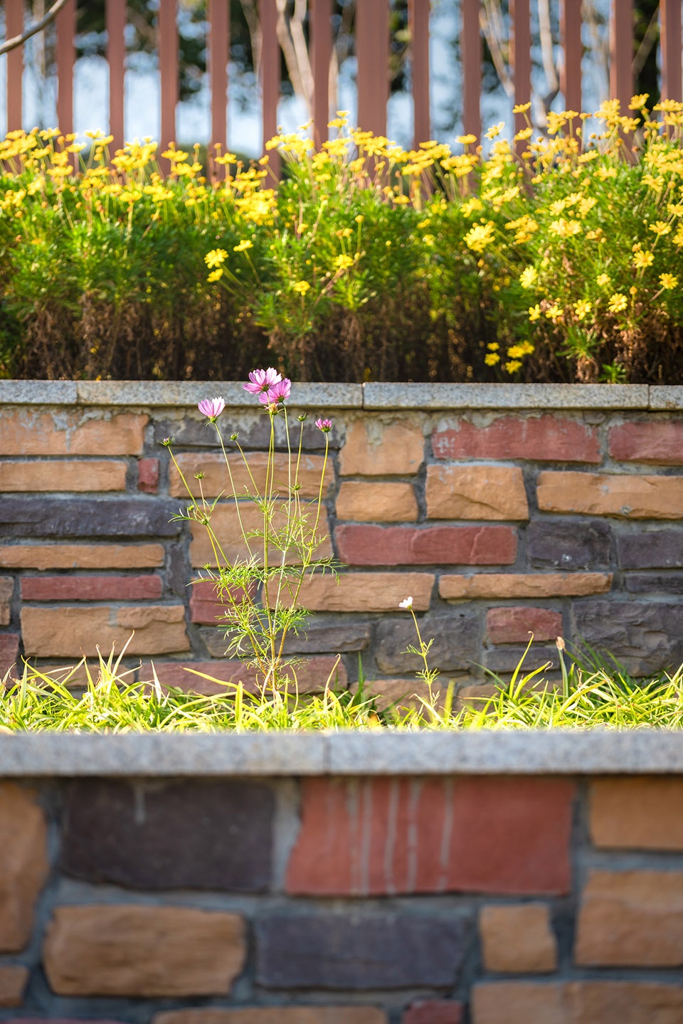 斗山塘景观设计丨苏州园科生态建设集团有限公司-39