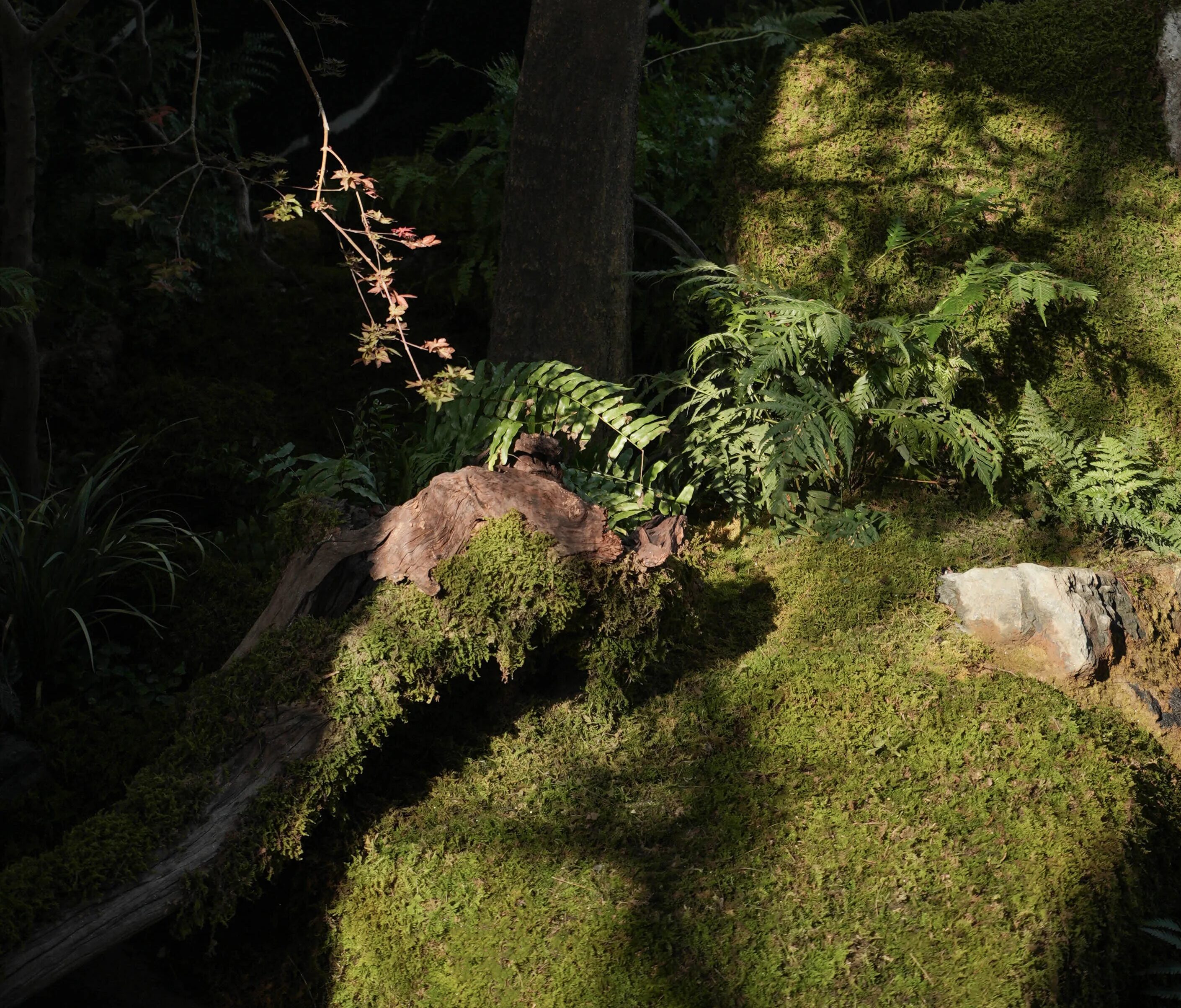 金茂西安璞逸曲江示范区丨中国西安丨MIND 迈德景观-63