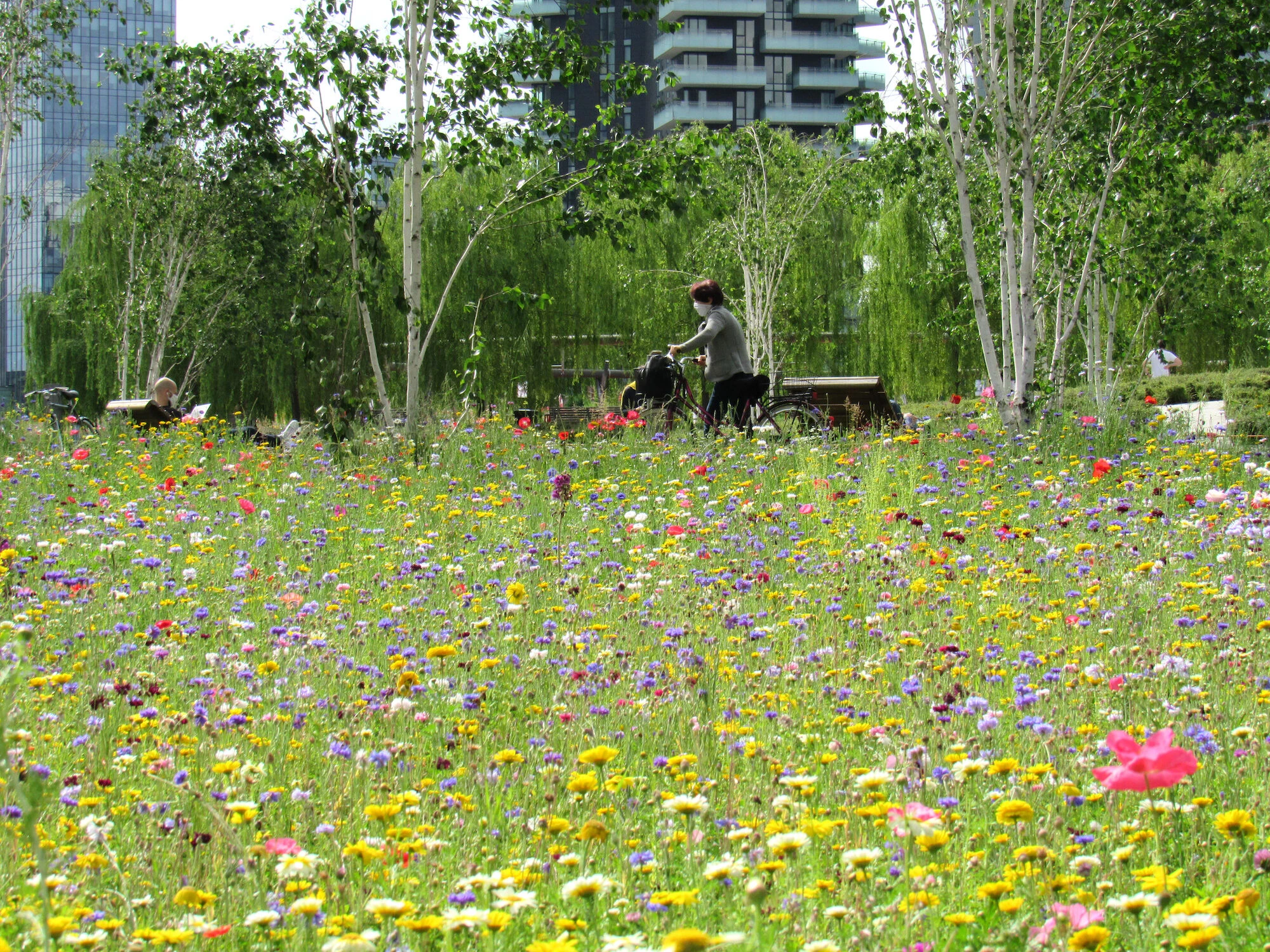 树木图书馆公园丨意大利米兰-46