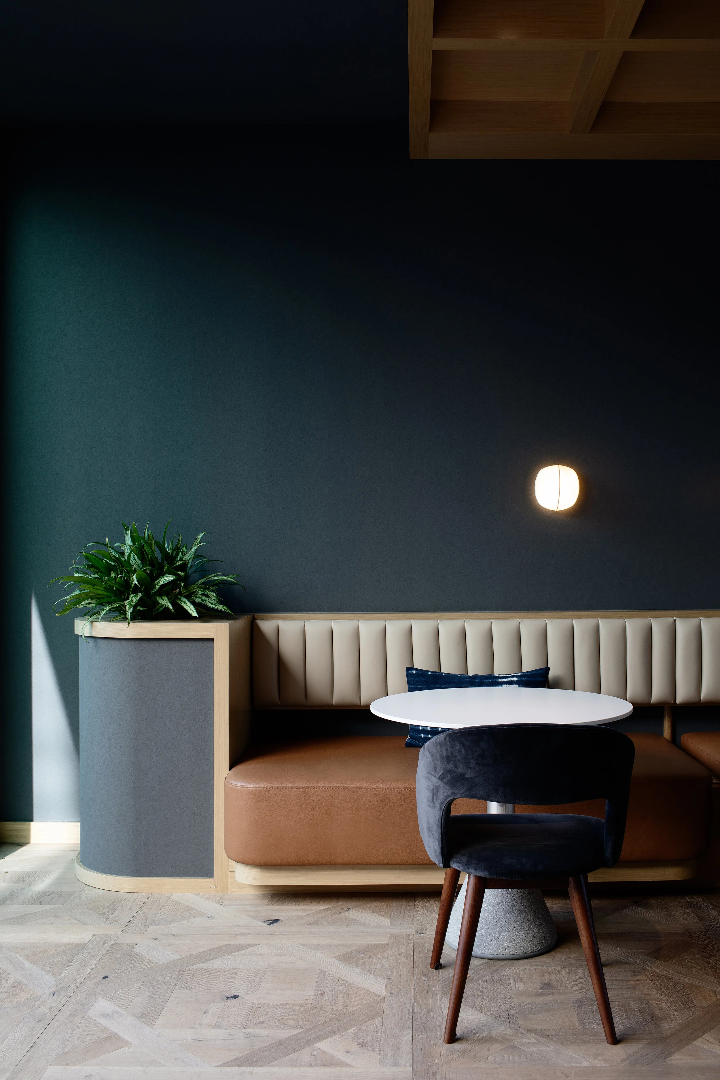 丨美国丨Vida Design-13