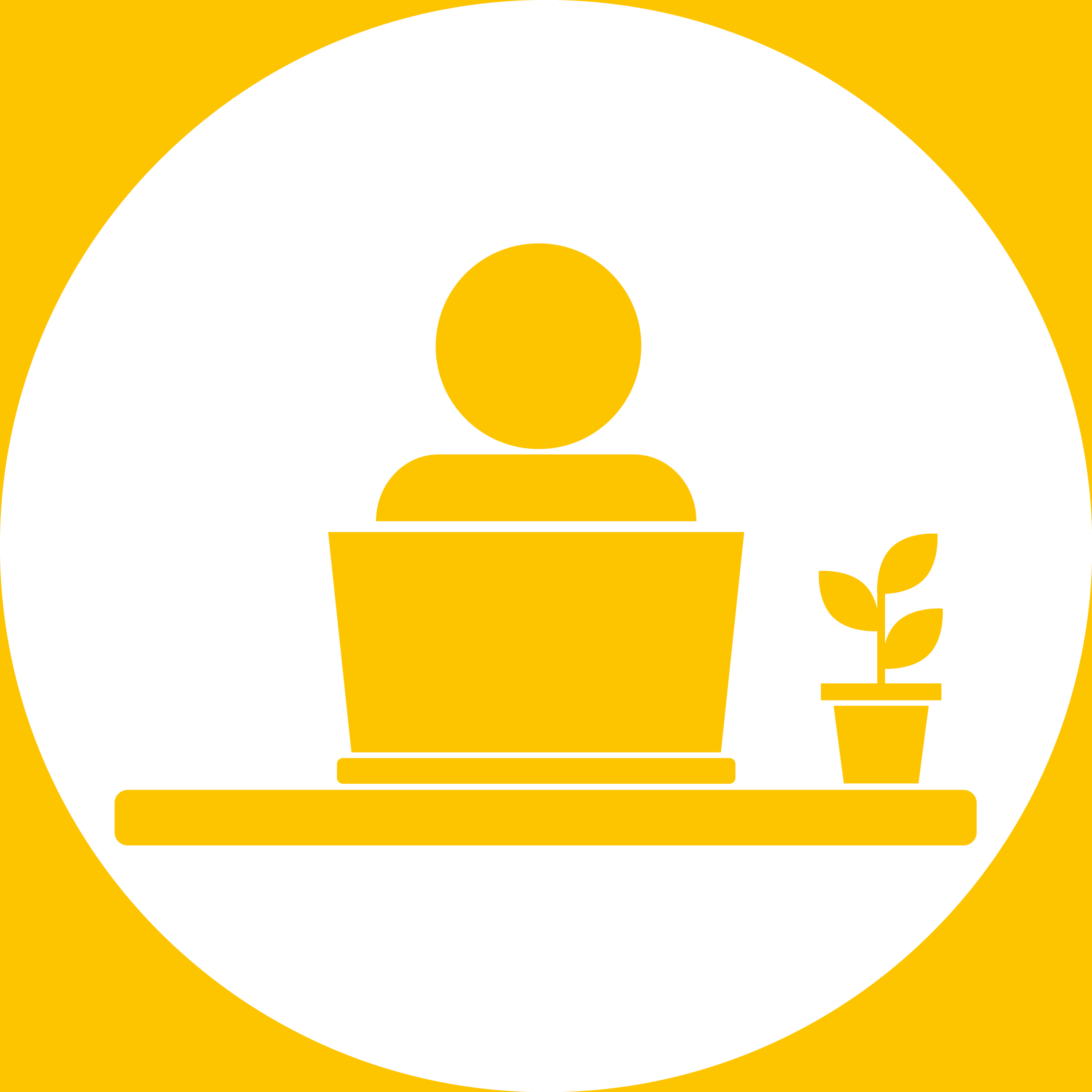 丨Levitt Bernstein-30