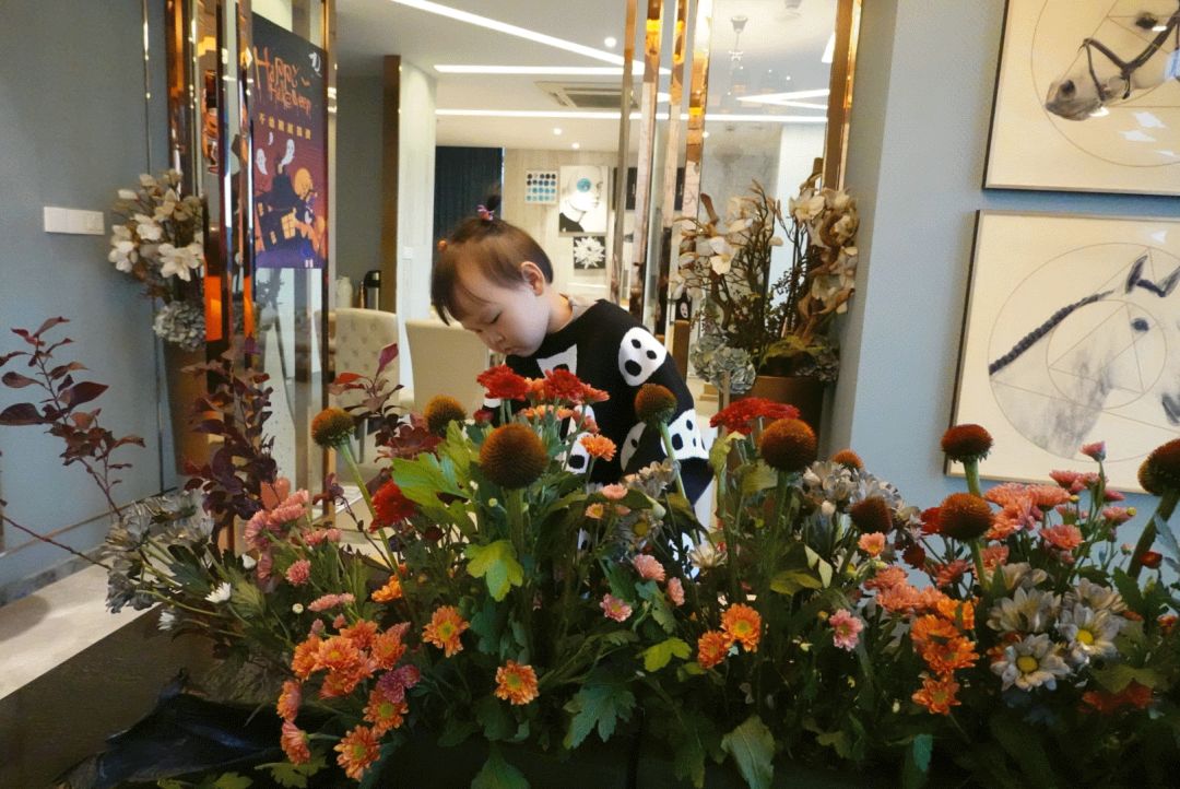 万圣节狂欢夜——力设计的神秘诡异空间-24